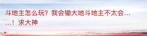 斗地主怎么玩？我会锄大地斗地主不太会……！求大神