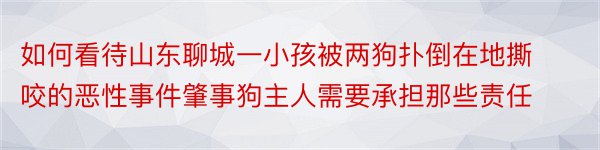 如何看待山东聊城一小孩被两狗扑倒在地撕咬的恶性事件肇事狗主人需要承担那些责任