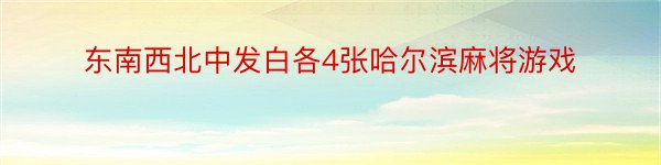 东南西北中发白各4张哈尔滨麻将游戏