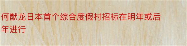 何猷龙日本首个综合度假村招标在明年或后年进行